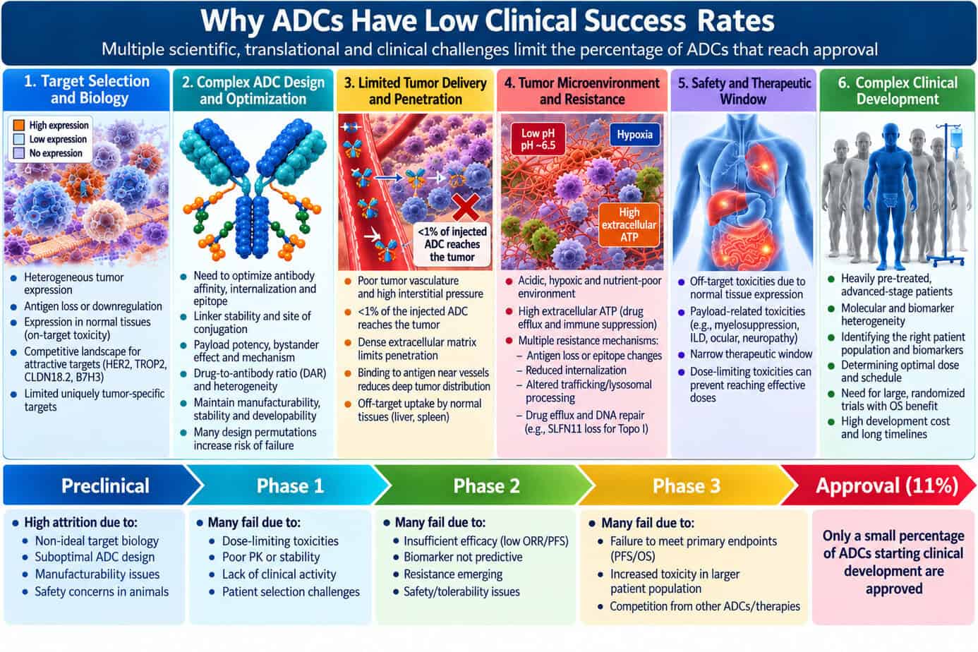 How ADCs changed the oncology clinical landscape » ADC Review