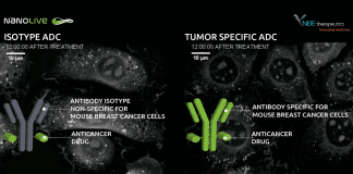 5 Things You Need To Know About ADCs – August 8, 2019 Nanolive video by NBE Therapeutics