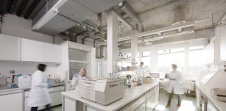 Rethinking ADC Design: Lessons from NBE-002 and the Potency of PNU-159682