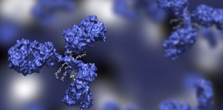 Debio 1562M: A First-in-Class CD37-Targeting ADC for the Treatment of Acute Myeloid Leukemia and Myelodysplastic Syndromes
